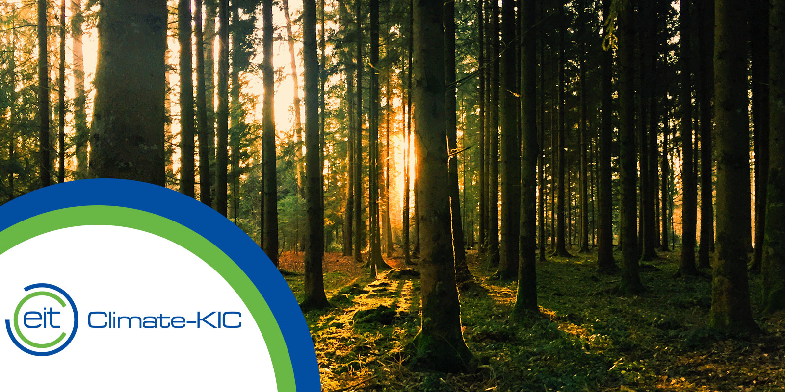 EIT Climate-KIC forestry