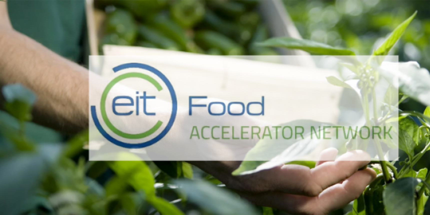 EIT Food Accelerator Network: Fourteen finalists of the 2020 programme announced