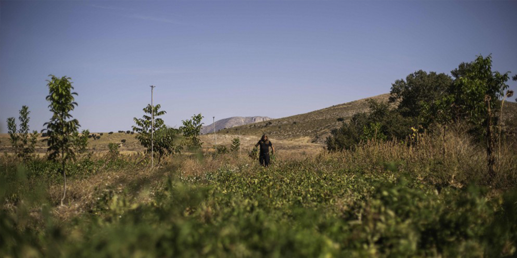 EIT Food partners with European Carbon+ Farming Coalition to accelerate decarbonisation of food systems