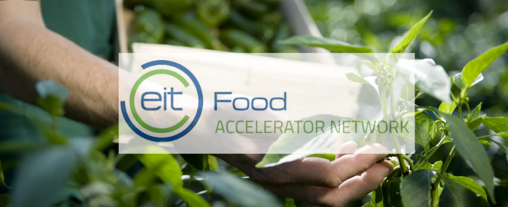 EIT Food Accelerator Network programme