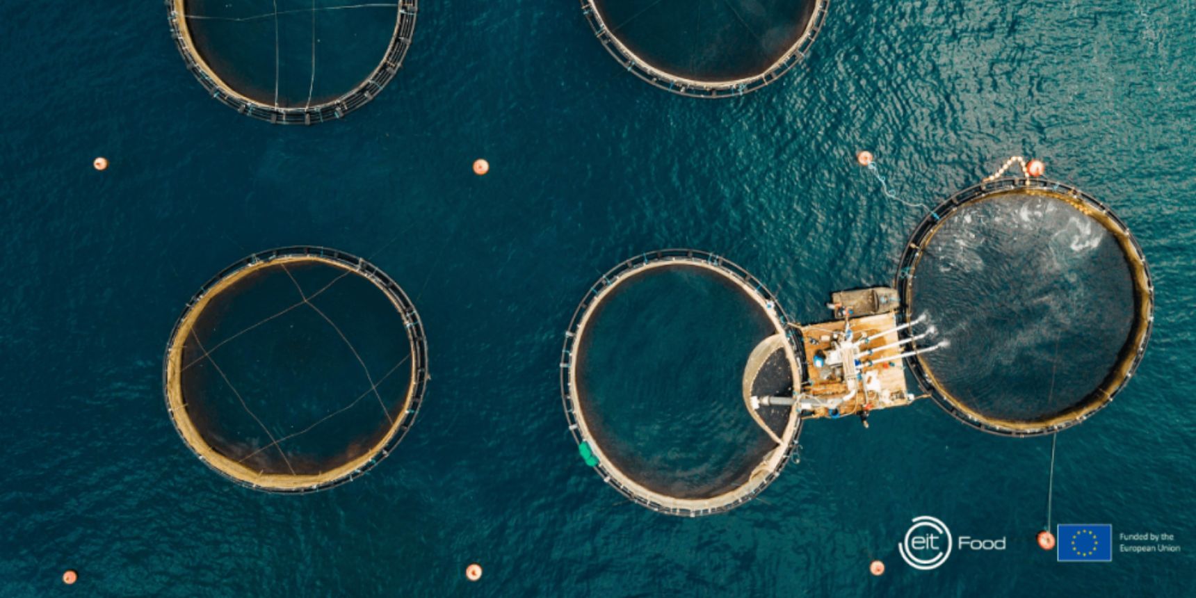 EIT Food projects to accelerate innovation in sustainable aquaculture