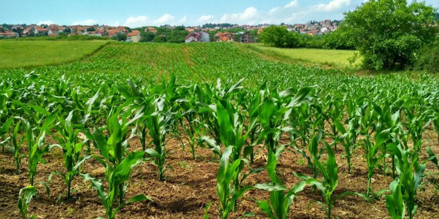 EIT Climate-KIC supported geoFootprint launched a new tool to accelerate sustainable agriculture