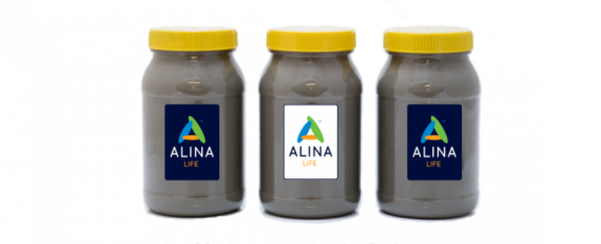 Alina EIT RawMaterials Alina EIT RawMaterials