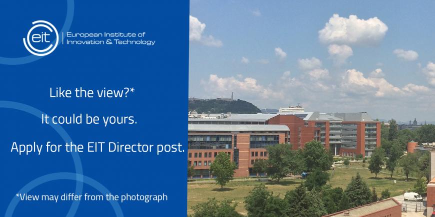 EIT Director vacancy EIT Director vacancy