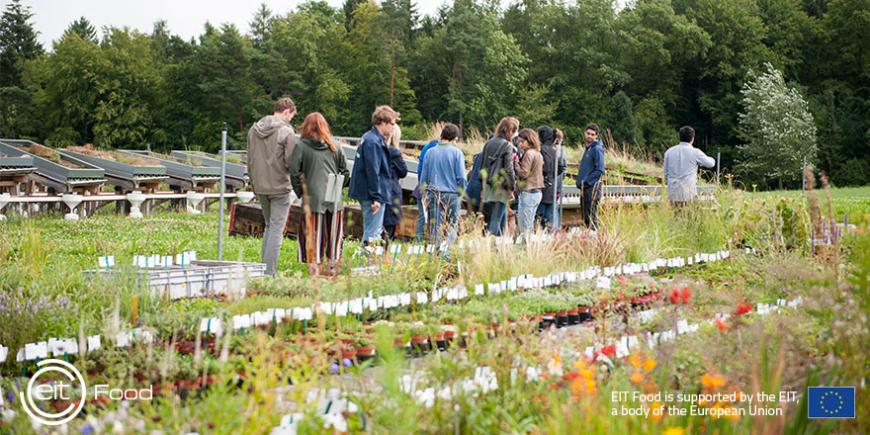 EIT Food RIS Fellowships EIT Food RIS Fellowships