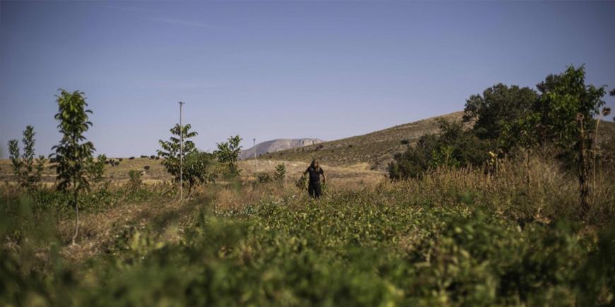 EIT Food partners with European Carbon+ Farming Coalition to accelerate decarbonisation of food systems